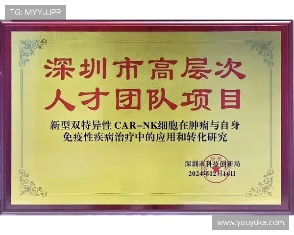 优化注册流程，提升K8凯发平台用户转化率的实用方法